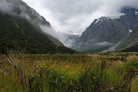 green grass field at the foot of mountain at daytime thumbnail