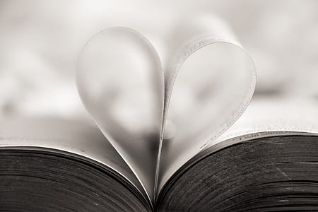 closeup photo of book page thumbnail