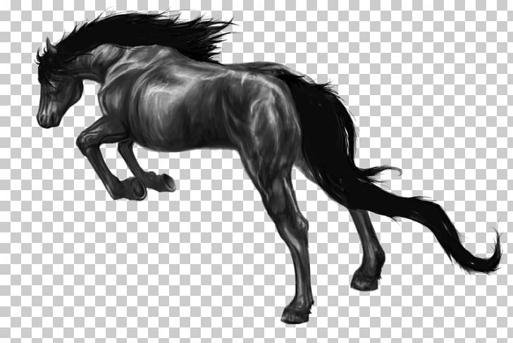 Mane Pony Foal Stallion Mustang Lady Gaga Spider Png Clipart