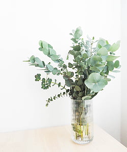vase of green leafed plants on table thumbnail