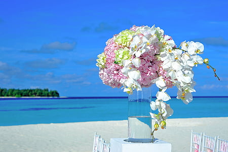 white and pink flowers decor thumbnail