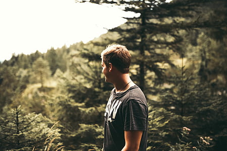 nature, man, person, forest thumbnail