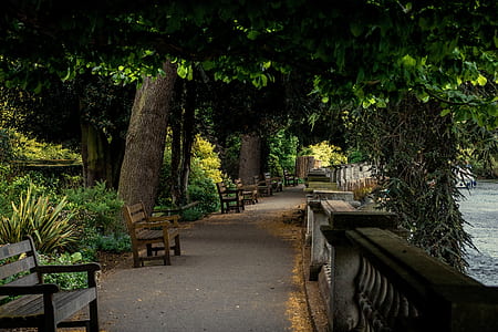 photo of empty park near body of water thumbnail