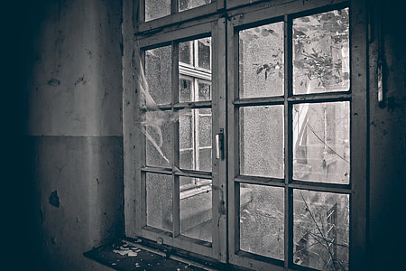 grayscale photo of glass window during daytime thumbnail
