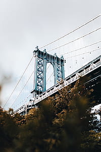 shallow focus photography of bridge thumbnail