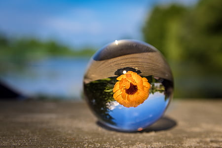 clear glass ball on gray surface thumbnail