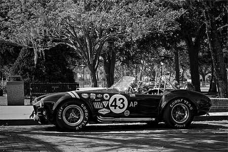grayscale photography of convertible coupe parked near tree thumbnail
