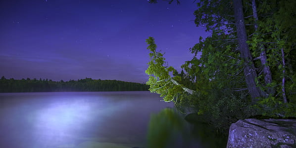green trees near body of water illustration thumbnail