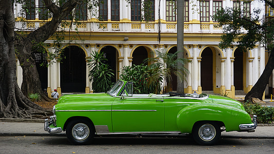 green convertible coupe parked near tree thumbnail