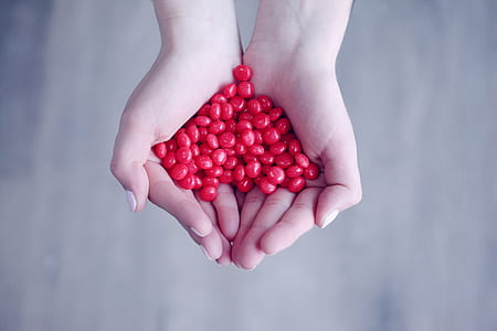 person holding red cherries thumbnail
