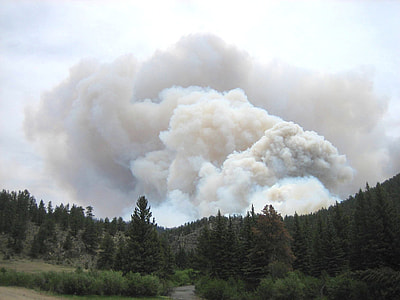 forest fire during daytime thumbnail