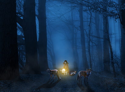person holding lantern beside wolves digital wallpaper thumbnail