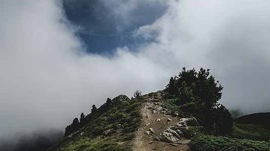 mountain surrounding tree thumbnail