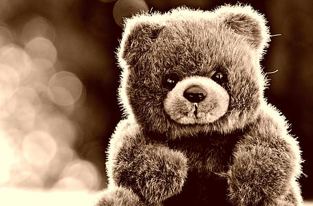 brown bear plush toy thumbnail