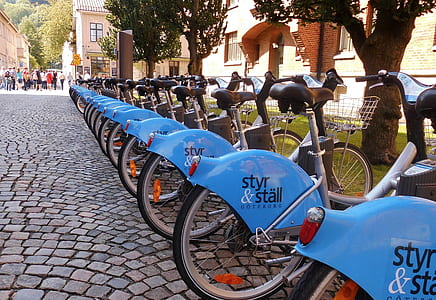 pile of bicycles near trees thumbnail