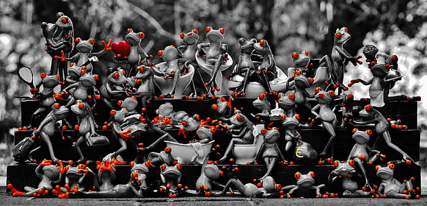 selective color photography of frogs thumbnail