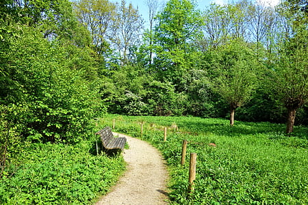 brown wooden bench next to pathway thumbnail