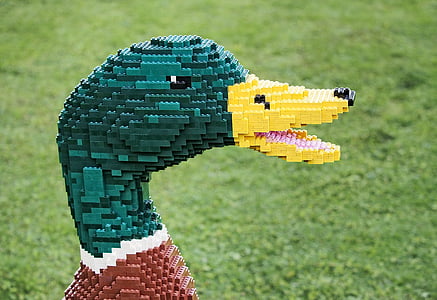 mallard duck in mega pixel photography thumbnail