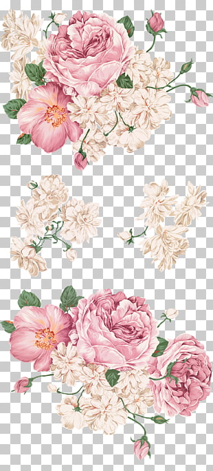 Peony Drawing Painting, Hand-painted peony, pink and white flowers PNG clipart
