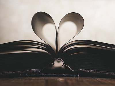 brown book thumbnail