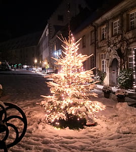 pine tree and string lights on lawn covered with snow thumbnail