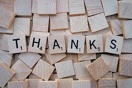 THANKS-printed scrabble brick thumbnail