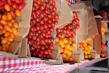 tomato lot in box thumbnail