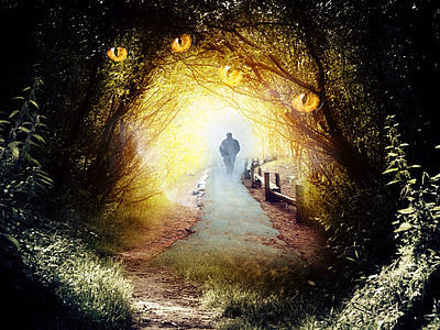 person walks on pathway with trees thumbnail
