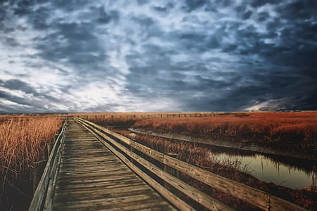 brown wooden bridge way beside body of water thumbnail