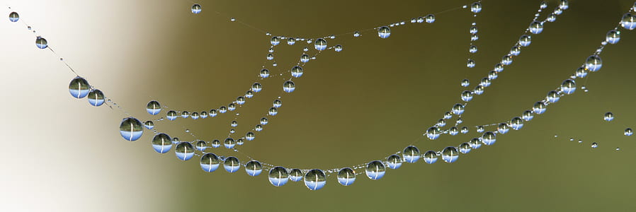 water, lens, blur, dew thumbnail