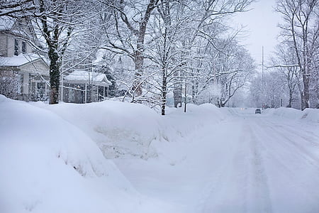road covered with snow thumbnail
