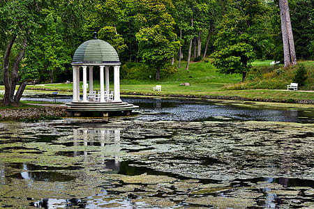 gazebo near body of water with lily pods by day thumbnail