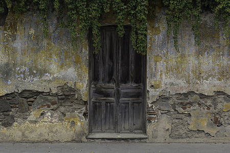 closed door with vines on top thumbnail
