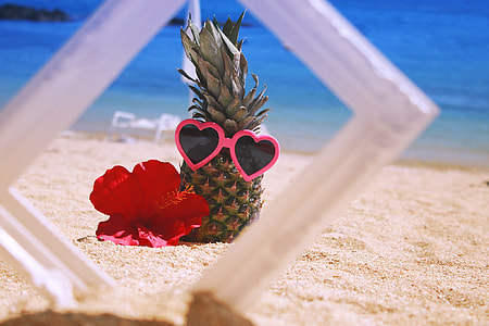Pineapple with pink sunglasses beside red hibiscus thumbnail