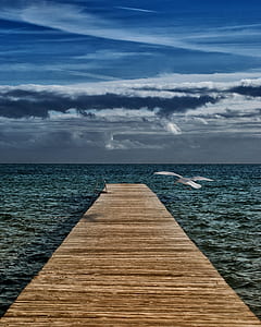 jetty, sea, dawn, nature thumbnail