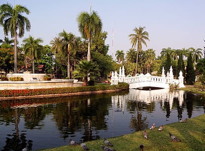 Buak Haad public park in Chiang Mai, Thailand thumbnail
