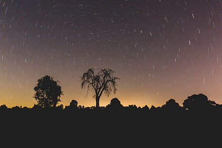 silhouette of trees during nighttime thumbnail