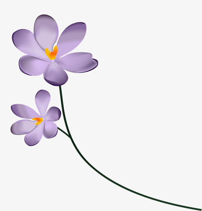 two beautiful purple flowers eps file