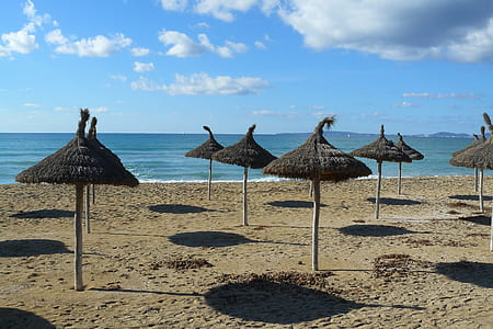black huts at shoreline thumbnail