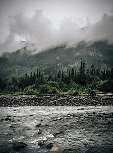 green leafed trees under cloudy sky thumbnail