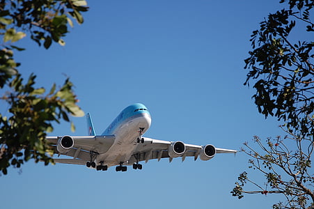 white and blue passenger plane flying on sky thumbnail