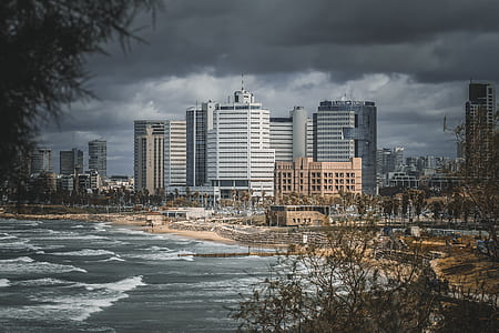 high-rise buildings surrounded by body of water thumbnail