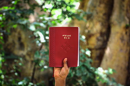 selective focus photo of person holding red labeled book at daytime thumbnail