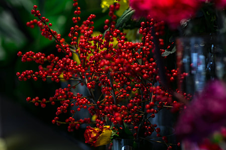 Red rowan with a colourful arrangement of flowers thumbnail
