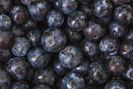 healthy, blueberries, fruit, fresh thumbnail
