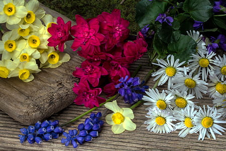 white, pink, purple, and yellow flowers on brown wooden surface thumbnail