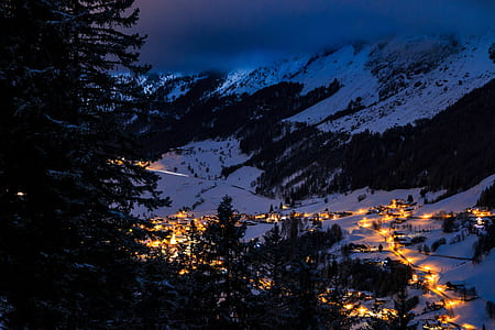 photo of trees and mountain at nighttime thumbnail
