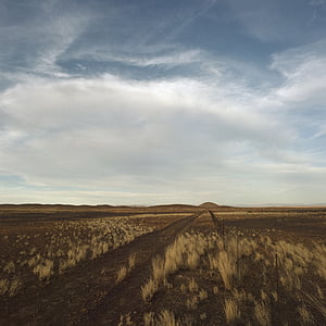 brown field under white clouds and blue sky at daytime thumbnail