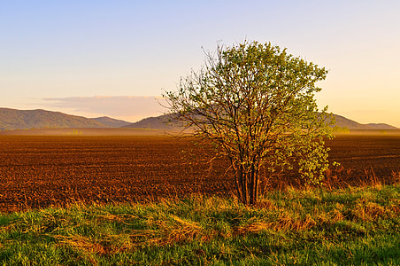 landscape photography of green and brown grass field thumbnail