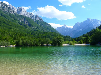 photo of forest beside body of water thumbnail
